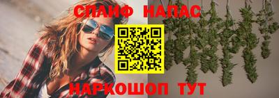 гашик Камень-на-Оби