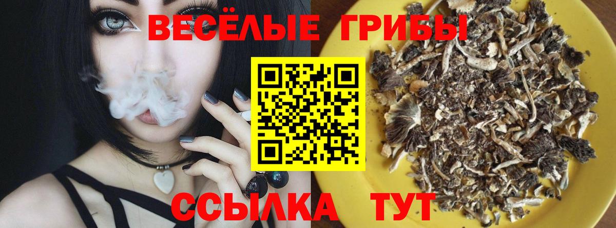 наркошоп  Вход с VPN  Псилоцибиновые грибы GOLDEN TEACHER  Фролово  Галлюциногенные грибы Psilocybe 